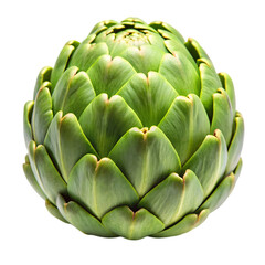 Obraz premium Fresh Green Artichoke Isolated on White Background 
