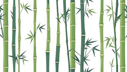 Obraz premium Fresh Green Bamboo Stalks on White Background for Nature Designs