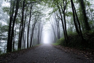 Misty Forest Path to Serenity - A misty forest path symbolizes mystery, tranquility, journey, hope, and nature's embrace. The path leads towards a bright light in the distance