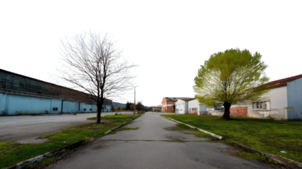 Desolate Industrial Road: A long, empty road cuts through a desolate industrial area, flanked by aging warehouses and two contrasting trees—one bare.