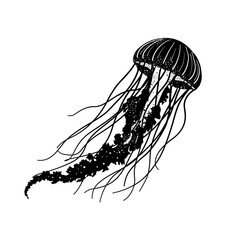 black silhouette of a jellyfish – vector illustration © KR Studio