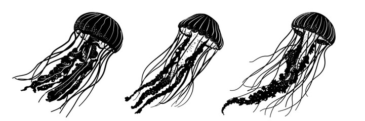 Set of  black silhouette of a jellyfish – vector illustration © KR Studio