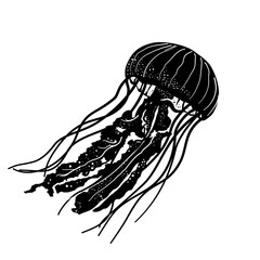 black silhouette of a jellyfish – vector illustration