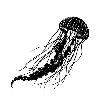 black and white jellyfish floating clip art preview