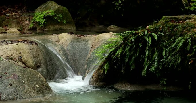 A beautiful river runs through the forest of the Sierra Gorda in Pinal de Amoles, Quer&eacute;taro, Mexico.
