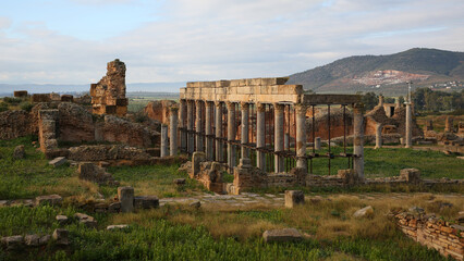 Palestra de Petroni, Yacimiento Thuburbo Majus, El Fahs, T&uacute;nez