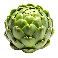 fresh-green-artichoke-isolated-on-white-backg