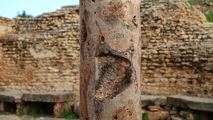 Termas de Invierno, Yacimiento Thuburbo Majus,  El Fahs, Túnez