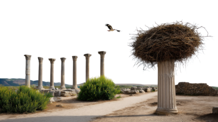 Ancient Columns and Nesting Wonder: A majestic nest perches atop a weathered column, accompanied by other classical columns. An elegant bird soaring.