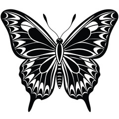 Elegant Butterfly, Black Butterfly, White Butterfly, Butterfly Silhouette, Black and White Design, Elegant Silhouette,