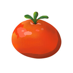 tomato isolated on white