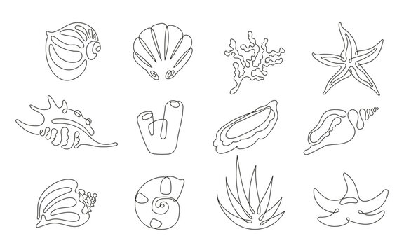 Minimalist one line seashell illustration. Hand-drawn continuous line art of ocean shell, perfect for modern coastal decor, logo design, tattoos, packaging, and beach-themed projects. 