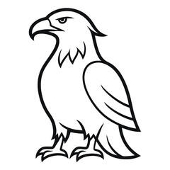Eagle Bird Vector Line Art on white background
