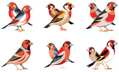 Set of Finches bird isolated  on white background