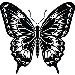Elegant Butterfly, Black Butterfly, White Butterfly, Butterfly Silhouette, 