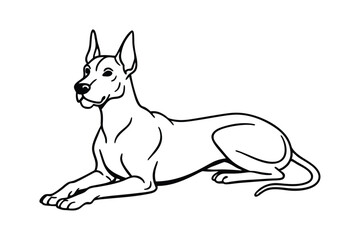 Black and white line art drawing of a Great Dane lying down with long legs.eps