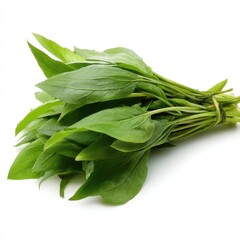 Fresh Green Ramps Bundle Organic Wild Leeks Spring Vegetables Healthy Food Ingredient