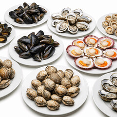 Fototapeta premium Seafood on a white background. Clams, clams and oysters.