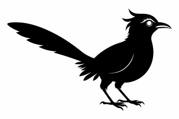 Greater coucal silhouette black vector