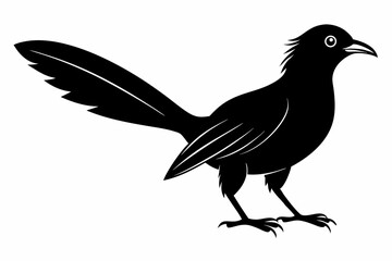 Greater coucal silhouette black vector
