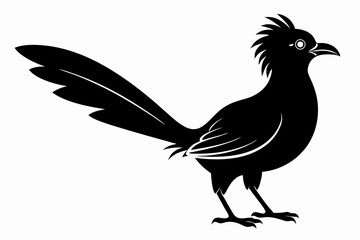 Greater coucal silhouette black vector