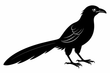 Greater coucal silhouette black vector