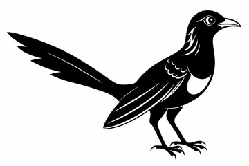 Greater coucal silhouette black vector