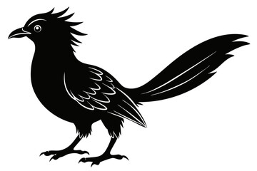 Obraz premium Greater coucal silhouette black vector