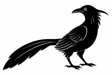 Greater coucal silhouette black vector