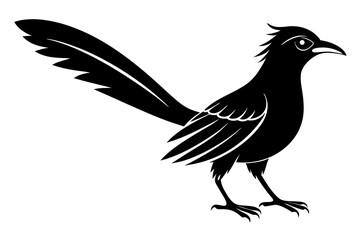 Greater coucal silhouette black vector