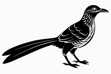 Greater coucal silhouette black vector