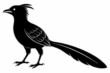 Greater coucal silhouette black vector