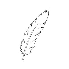 Fototapeta premium Ink pen feather illustration on white background 