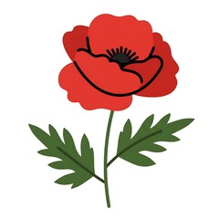 A vibrant red poppy flower a symbol of remembrance and hope illustrated with simple lines against a