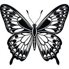 Elegant Butterfly, Black Butterfly, White Butterfly, Butterfly Silhouette, 