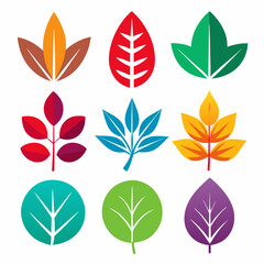 Fototapeta premium Colorful Leaves set bundle vector design