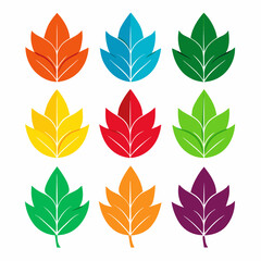 Obraz premium Colorful Leaves set bundle vector design
