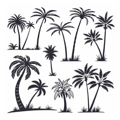 palm tree silhouette bundle set bundle vector design