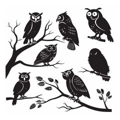 Obraz premium Owl bird silhouette bundle set bundle vector design