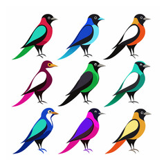 Magpie Colorful set bundle vector design