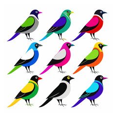 Magpie Colorful set bundle vector design