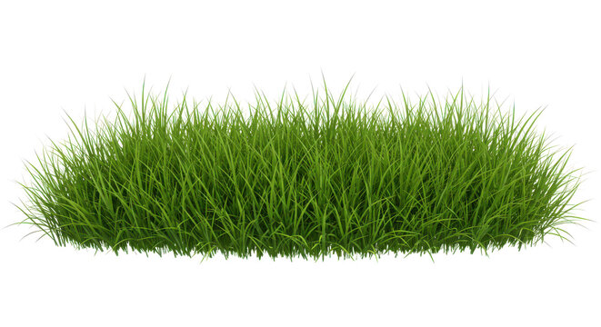 A patch of lush green grass isolated on a black background with a transparent edge effect look