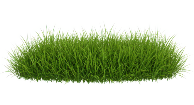 A patch of lush green grass isolated on a black background with a transparent edge effect look