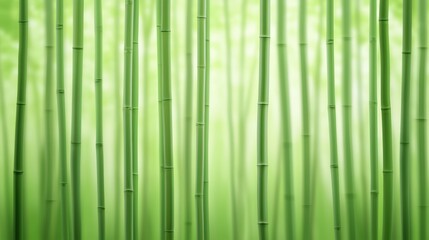 Fototapeta premium Green blurred forest background with soft focus tree branches swaying gently in the breeze