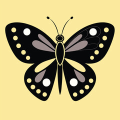 Elegant Butterfly, Black Butterfly, White Butterfly, Butterfly Silhouette, 