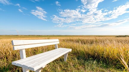 Obraz premium Serene white bench in golden wheat field under blue sky