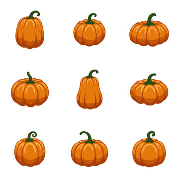 set of pumpkin colorful vector design, pumpkin, halloween, autumn, orange, pumpkins, fall, holiday, harvest, vector, vegetable, set, food, season, illustration, thanksgiving, gourd
