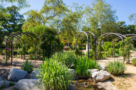 a gorgeous landscape with lush green trees and plants and colorful flowers at Descanso Gardens in La Canada Flintridge California USA