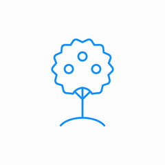 fruit tree icon sign vector