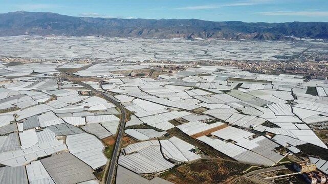 Aerial view of Mar de Plastico, Sea of ​​Plastic, in Almer&iacute;a. A vast expanse of land covered with plastic greenhouses for the production of fruits and vegetables, larger than Almer&iacute;a itself